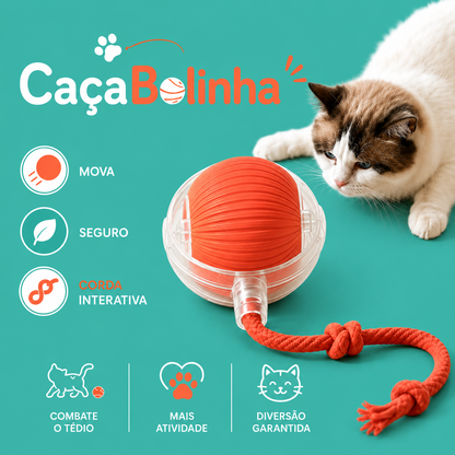CaçaBolinha™