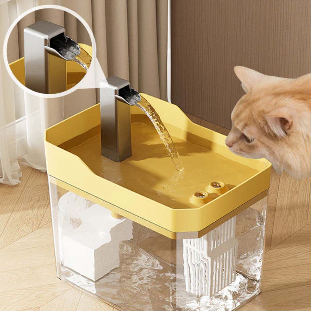 Fonte Automática para Hidratar Gatos