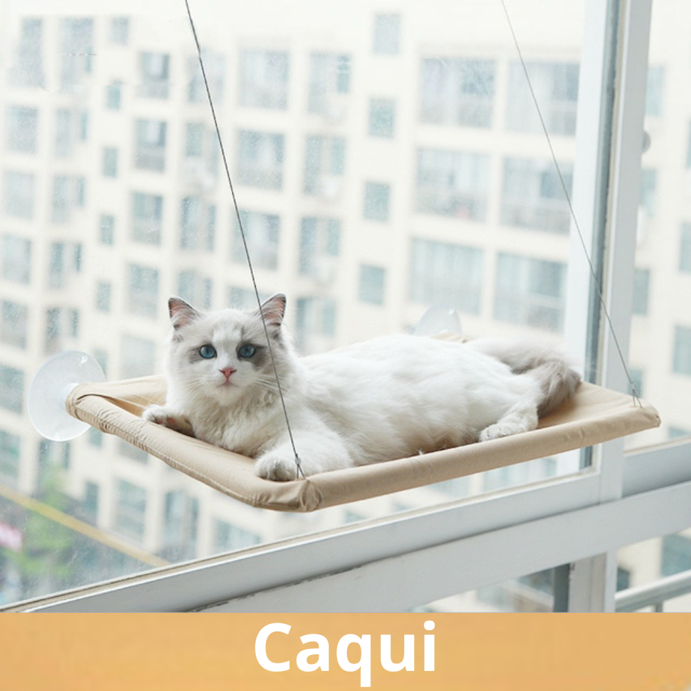 CaminhaCat™