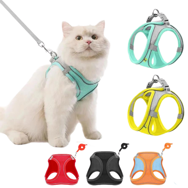 Passeio Seguro com Peitoral Mimers
