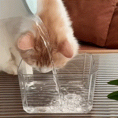 Fonte Automática para Hidratar Gatos