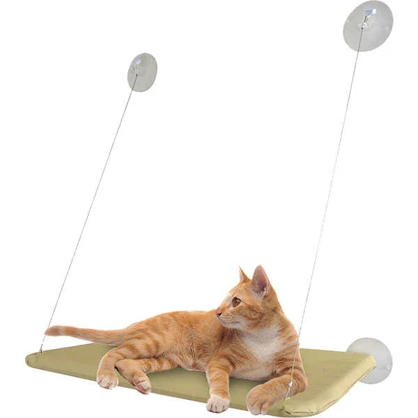 CaminhaCat™