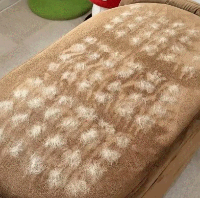 Escova Mágica™ - Compre 1 Leve 1 GRÁTIS