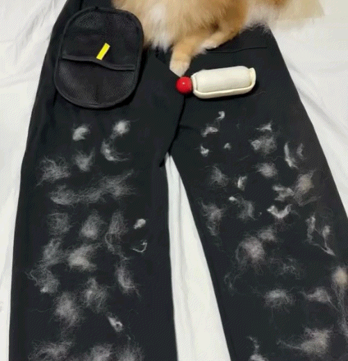 Escova Mágica™ - Compre 1 Leve 1 GRÁTIS