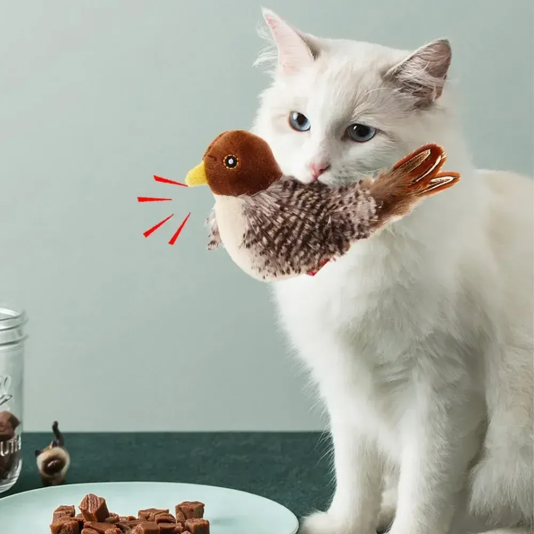 Passarinho Interativo Gato
