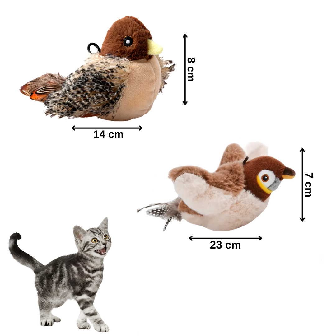 Passarinho Interativo Gato