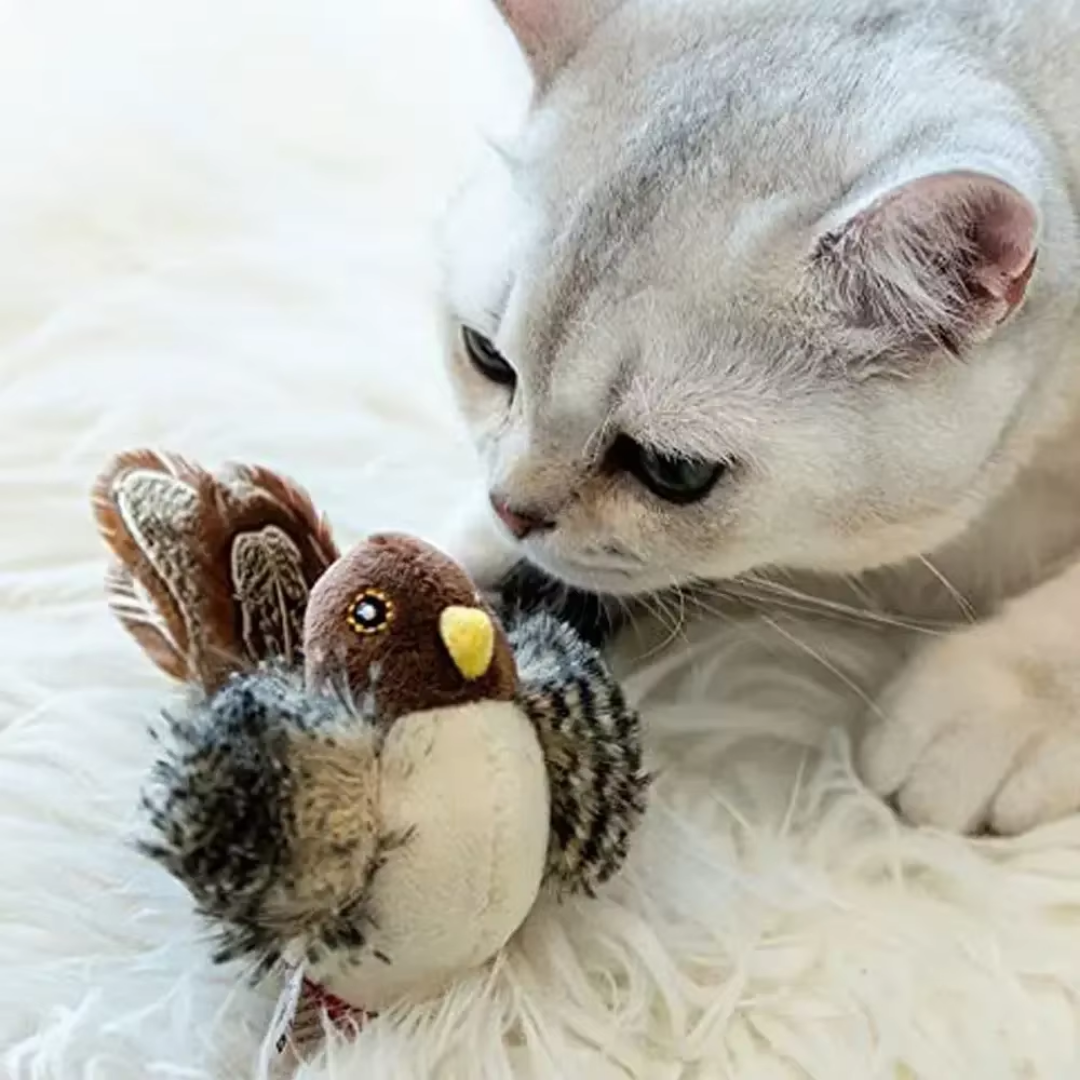 Passarinho Interativo Gato