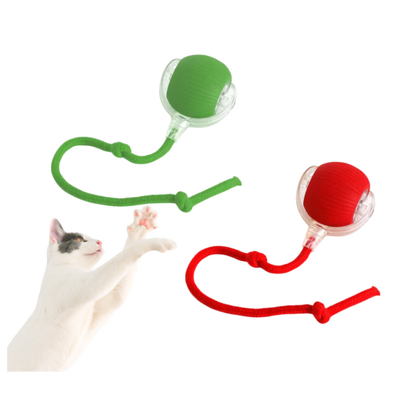 Bola Eletrônica para Gatos