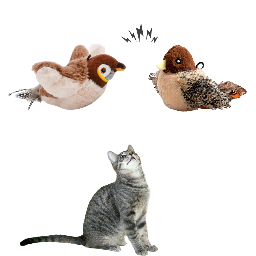 Passarinho Interativo Gato