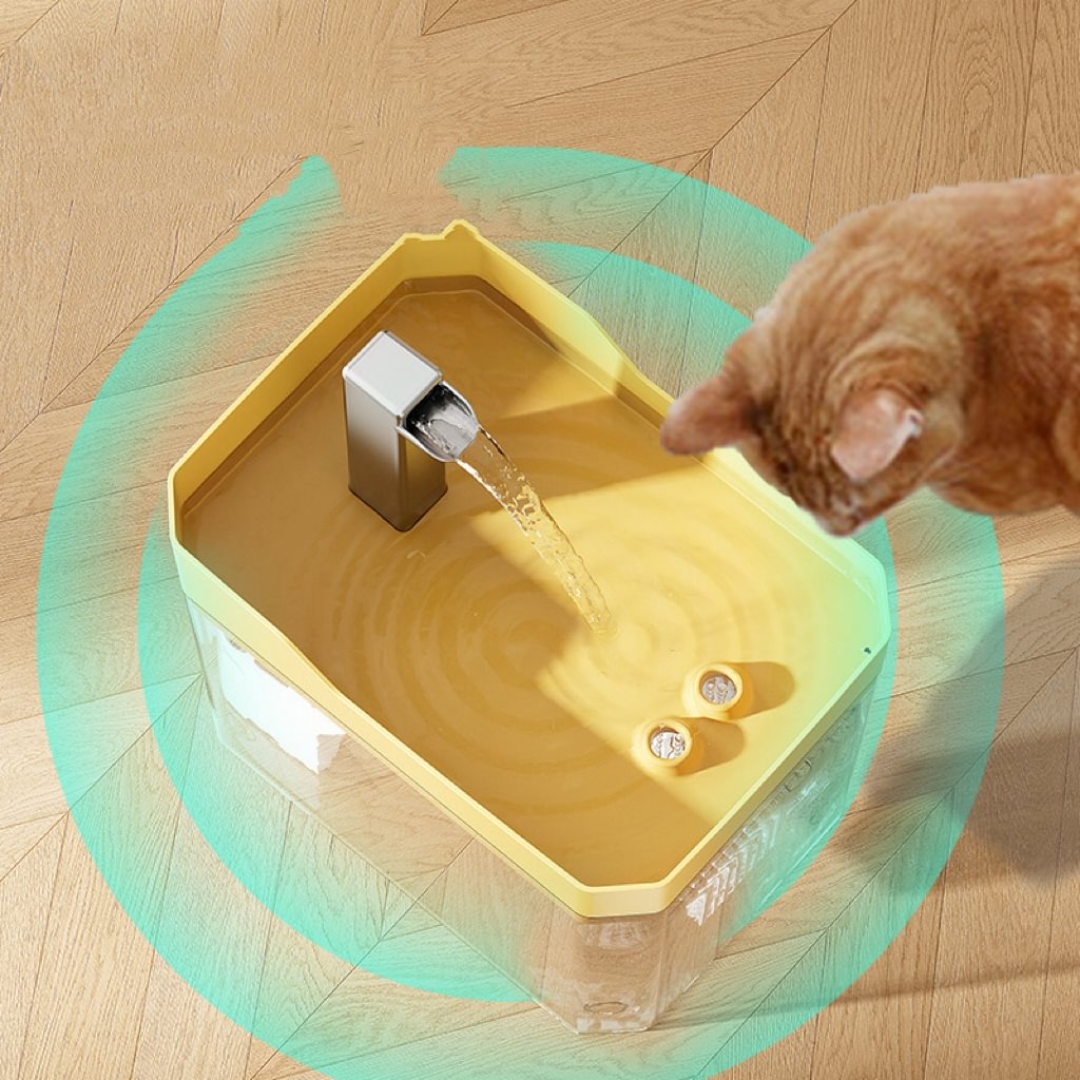 AquaCat™