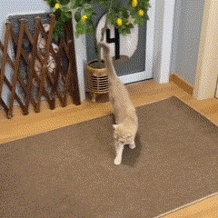 Tapete Arranhável Sisal Felino