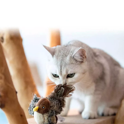 Passarinho Interativo Gato