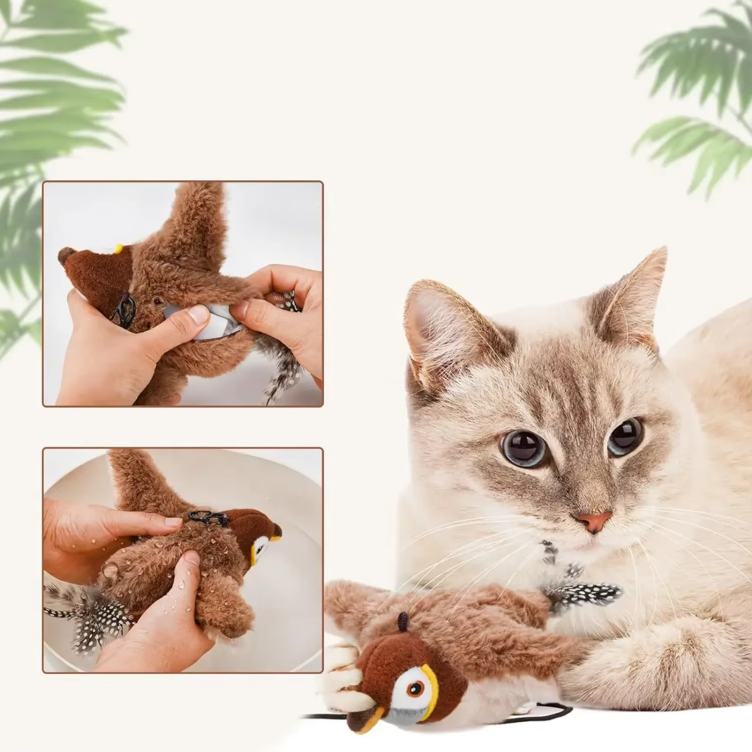 Passarinho Interativo Gato