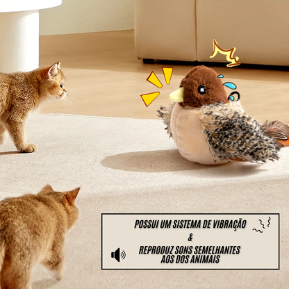 Passarinho Interativo Gato